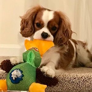 Meet your Posher, Madeleine